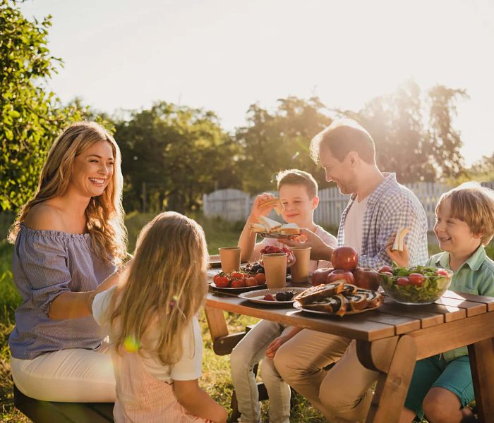 familia-en-el-campo-web